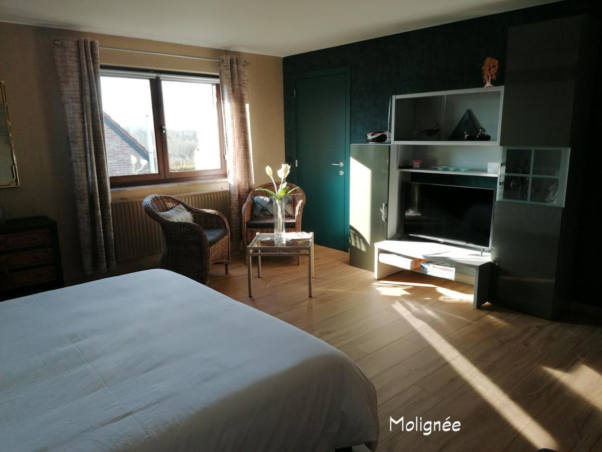 Bed and Breakfast Le Cerisier Bioul Esterno foto